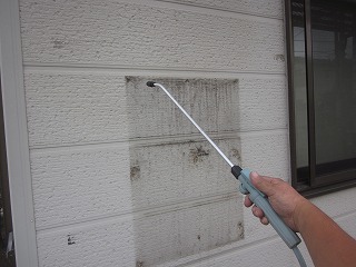 外壁も同じくバイオ洗浄液を散布します。
