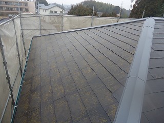 雨が降っていたので既に濡れていますが、洗浄前の屋根です。