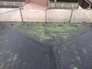 緑色の部分はコケではなく下地の色です。前回の塗装時の業者さんがあまり良い仕事をしなかったようですm(__)m