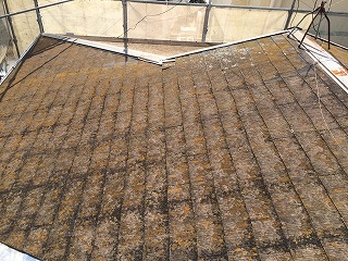 洗浄前の屋根の状態はコケが全面に広がり、かなり汚れてしまっています。