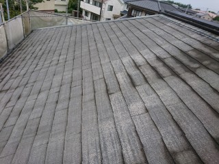 屋根 バイオ洗浄2