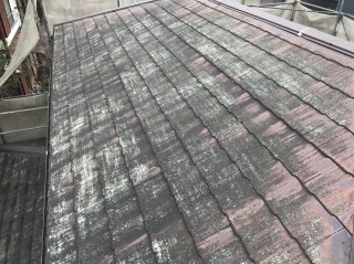 屋根 洗浄後