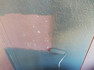 印西市　屋根外壁塗装 １９