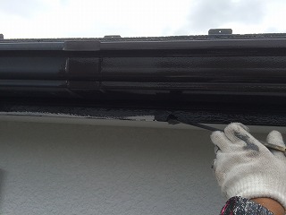 雨樋、破風板塗装 (1)